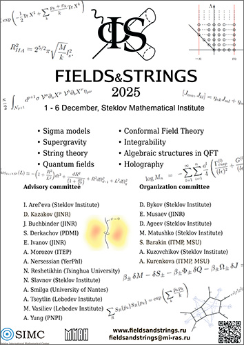   "Fields & Strings 2025"