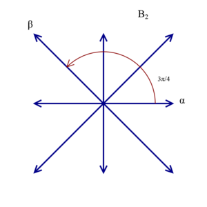 Root_system_B2.png